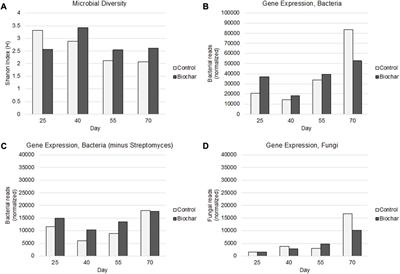 Metatranscriptomic analysis of tomato rhizospheres reveals insight into plant-microbiome molecular response to biochar-amended organic soil